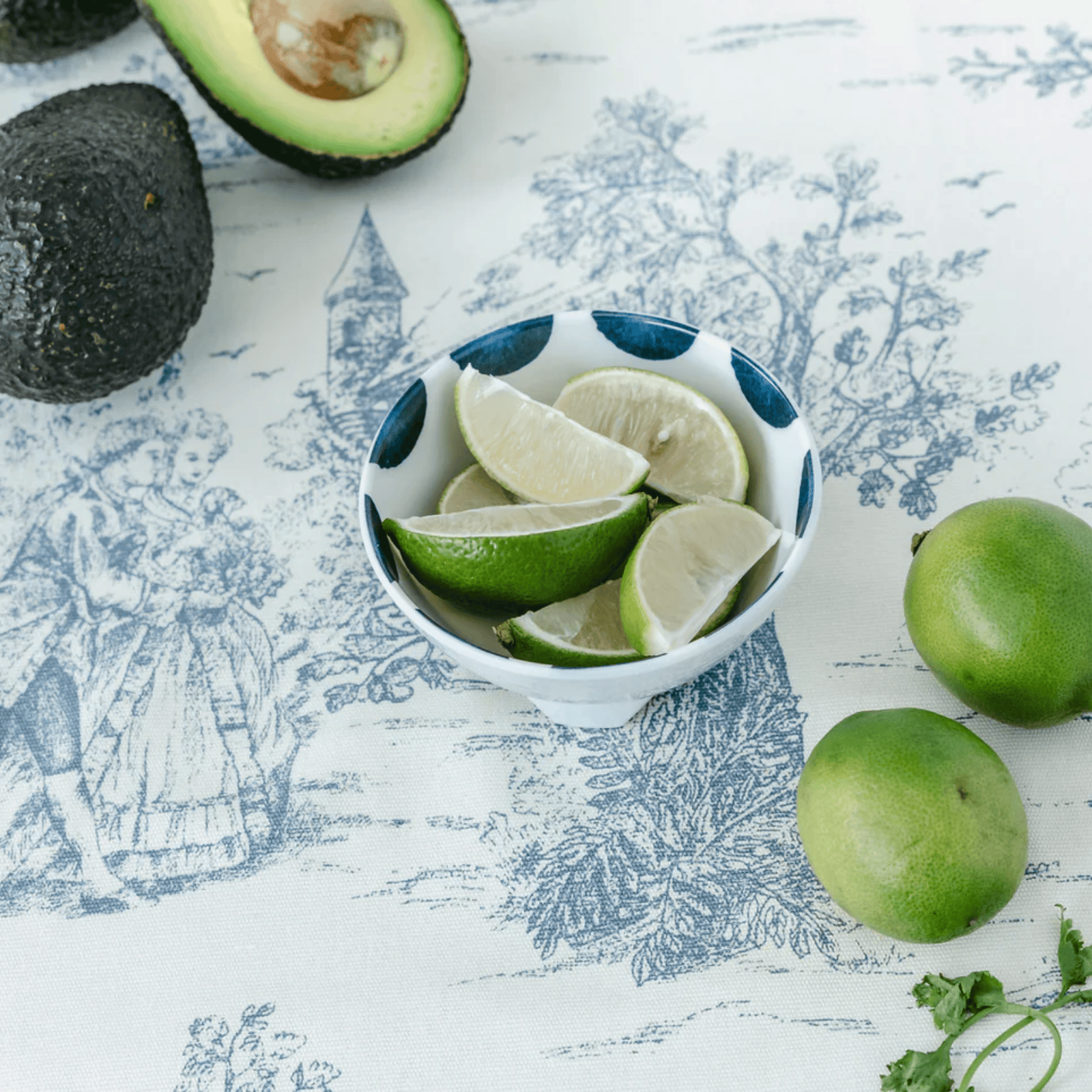Prepara Taco Prep Bowl Coastal Stripe