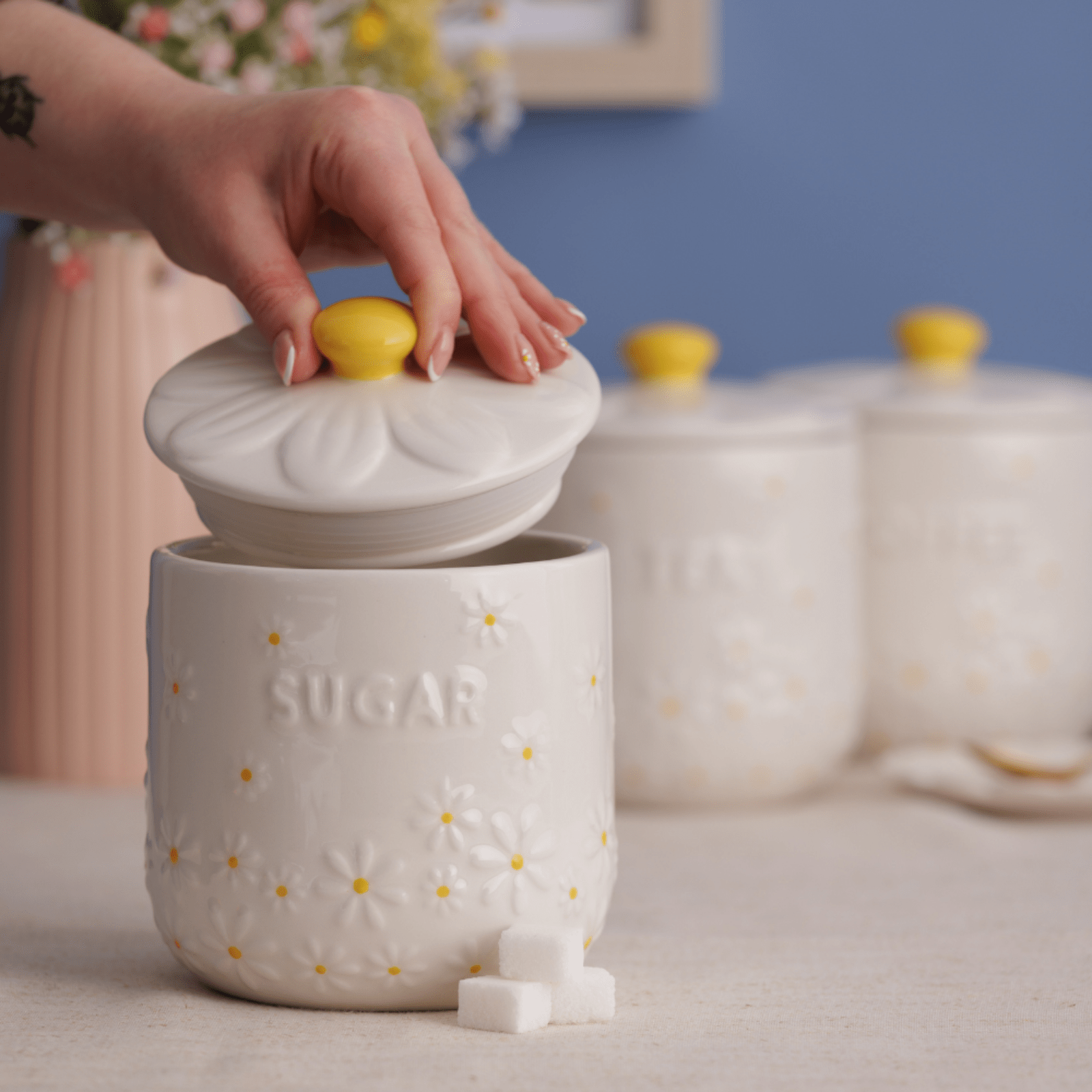 Price & Kensington Daisy Sugar Storage Jar