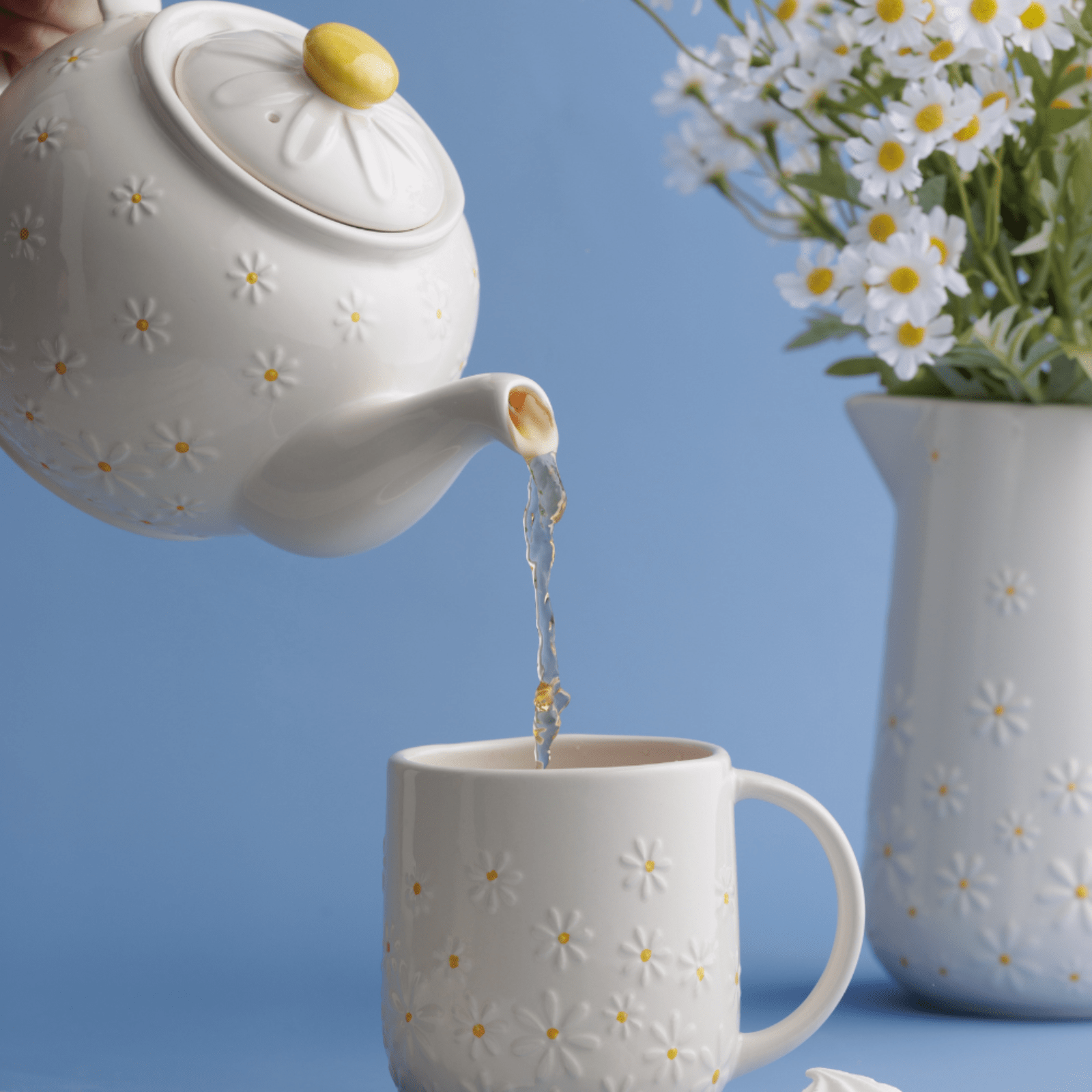 Price & Kensington Daisy Teapot 1.1L