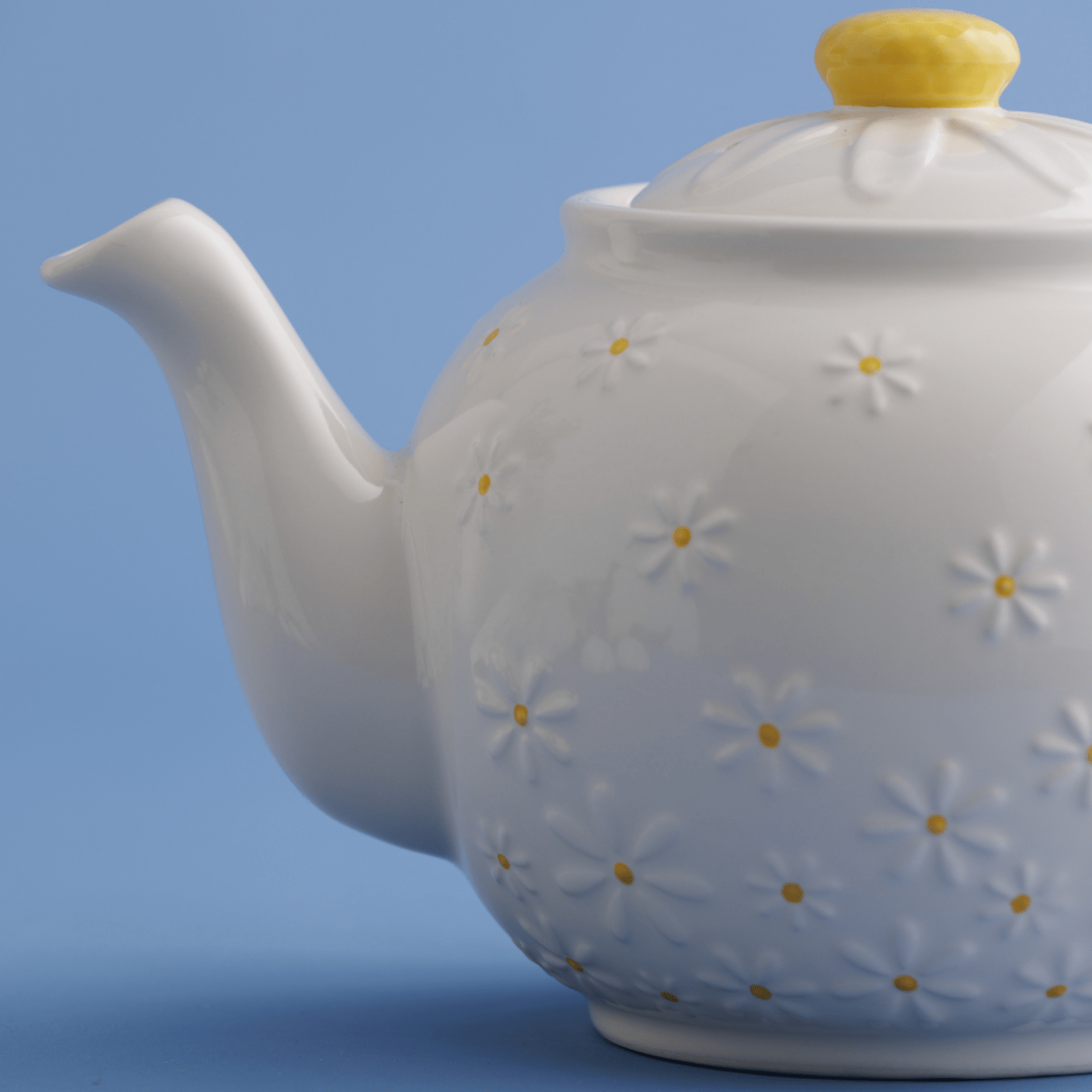 Price & Kensington Daisy Teapot 1.1L