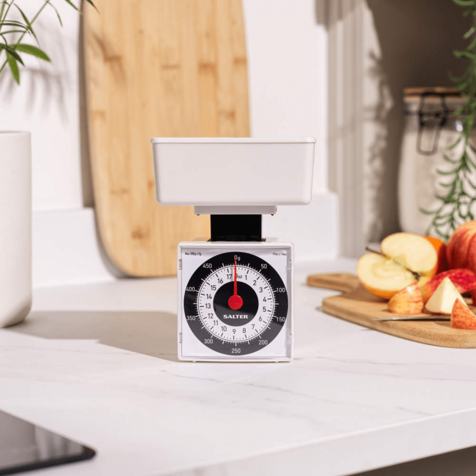 Salter Dietary Mechanical Kitchen Scale 500g Capacity