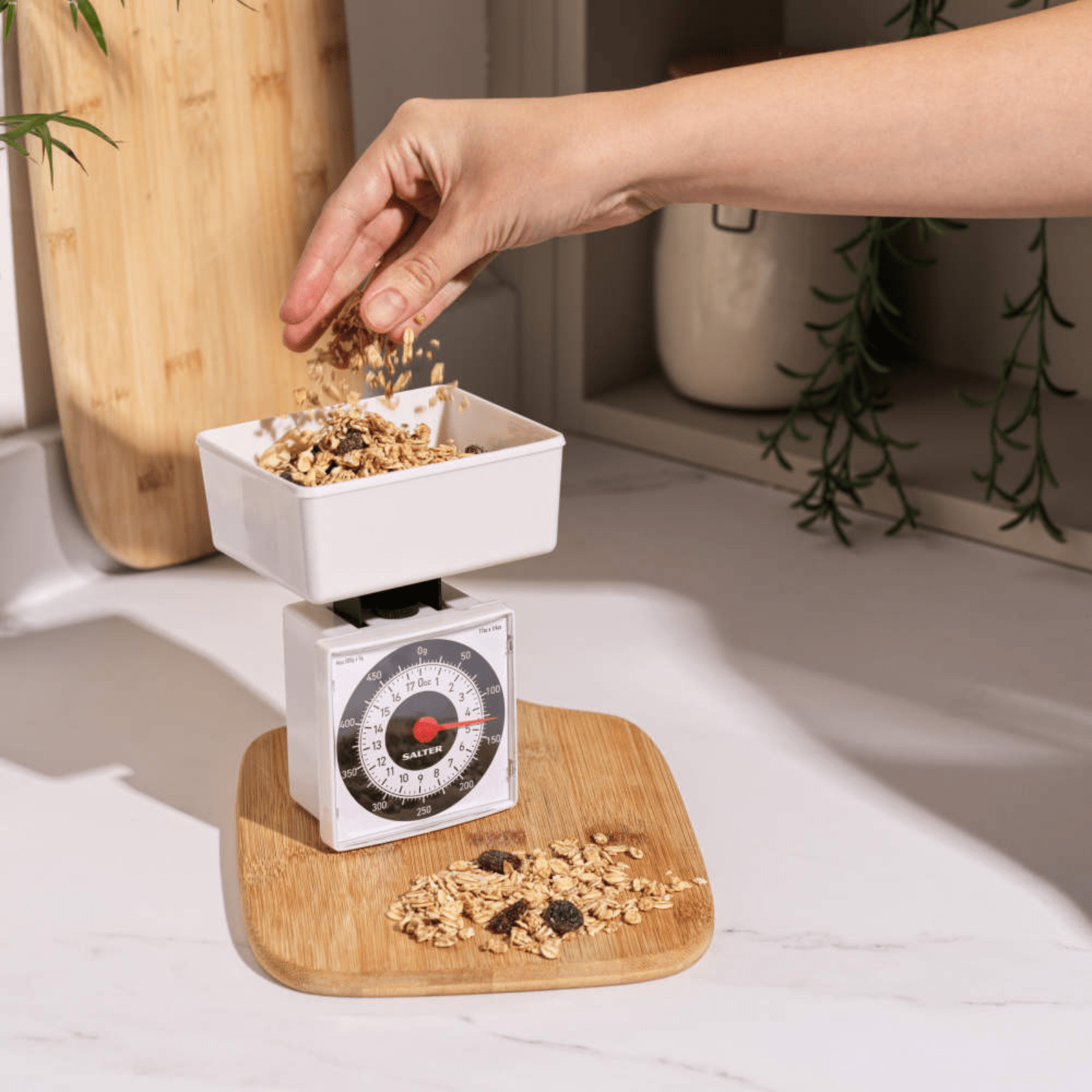 Salter Dietary Mechanical Kitchen Scale 500g Capacity