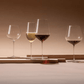 Schott Zwiesel Vuelo Red Wine 785ml Set of 2 #130