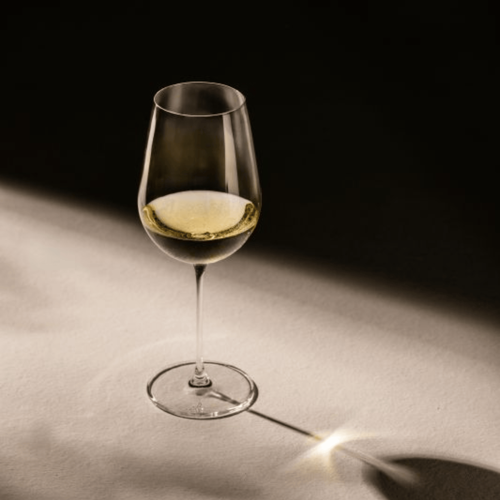 Schott Zwiesel Vuelo White Wine 517ml Set of 2 #1