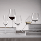 Schott Zwiesel Vuelo White Wine 517ml Set of 2 #1