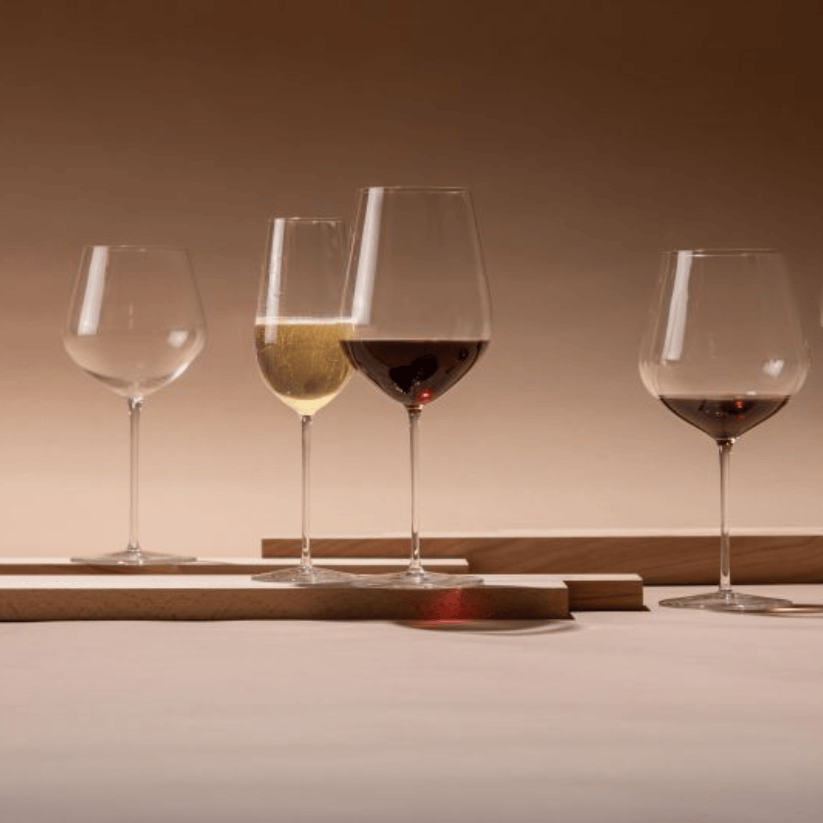 Schott Zwiesel Vuelo White Wine 517ml Set of 2 #1