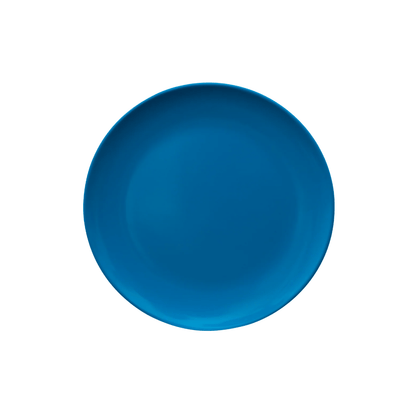 Serroni Melamine Dinner Plate 25cm Reflex Blue