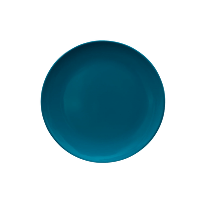 Serroni Melamine Dinner Plate 25cm Teal