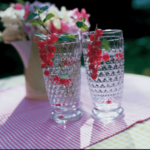 Villeroy & Boch Boston Highball