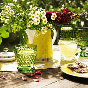 Villeroy & Boch Boston Tumbler Green