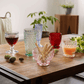 Villeroy & Boch Boston Tumbler Red