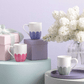 Villeroy & Boch Fleur Bleu Mug