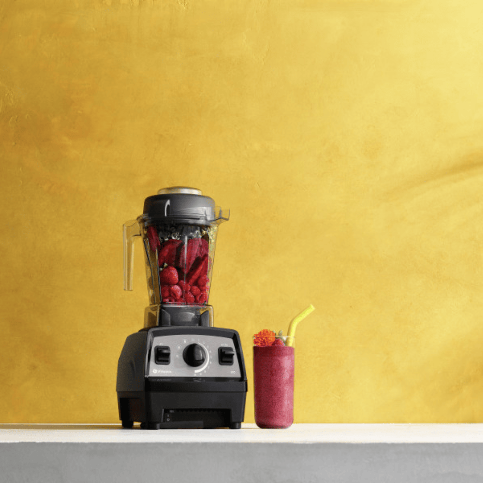 Vitamix Explorian E510 High-Performance Blender Black