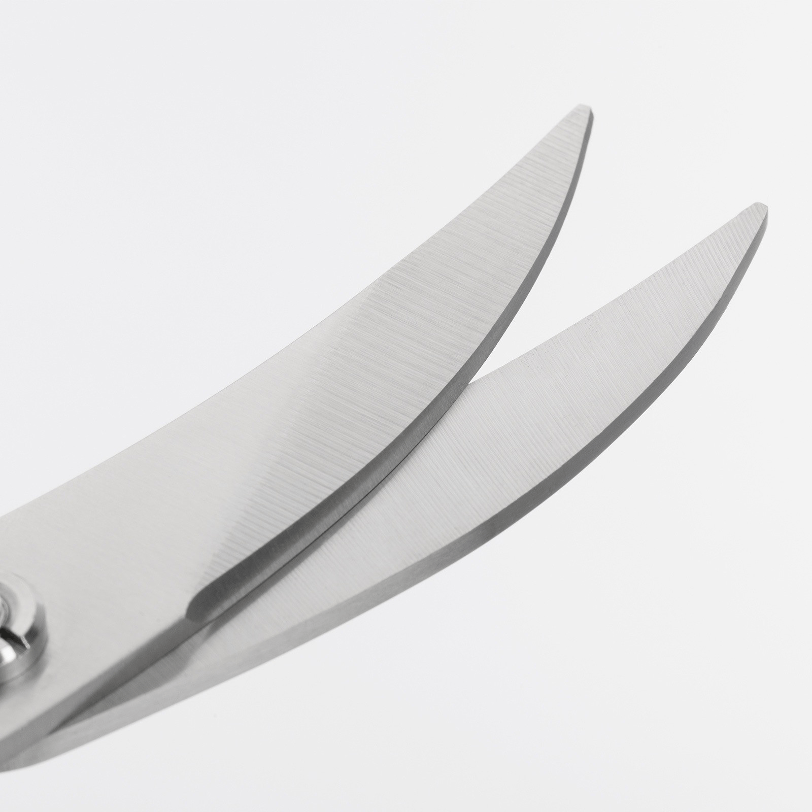 Westmark Poultry Shears