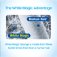 White Magic Eco Eraser Aquarium Eraser Sponge