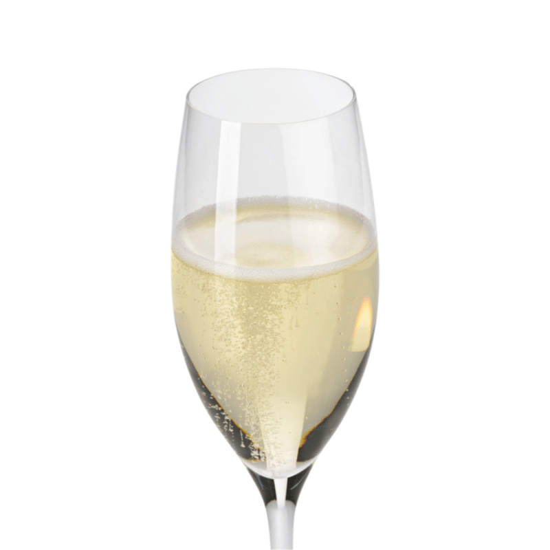 WMF EasyPlus Champagne 250ml Set of 6 The Homestore Auckland