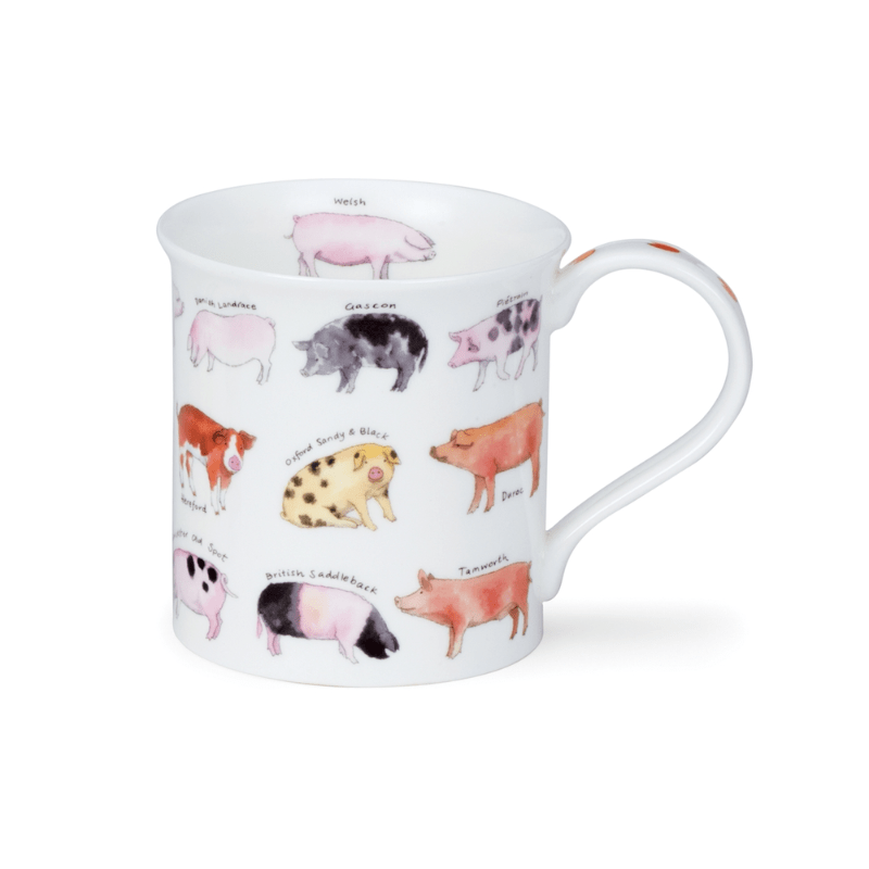 Dunoon Mug Bute Animal Breeds Pig 300ml