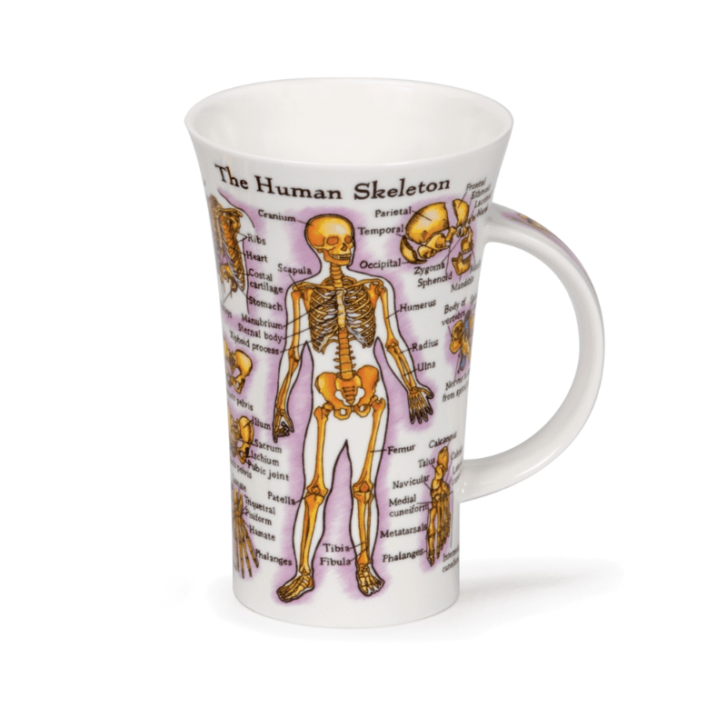 Dunoon Mug Glencoe Human Body 500ml