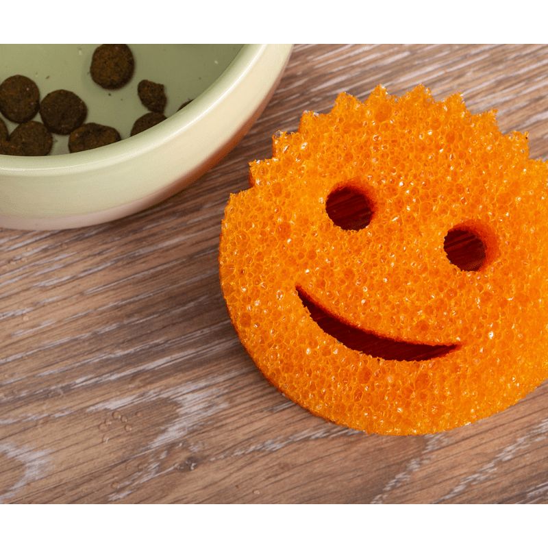 Scrub Daddy Colours Orange